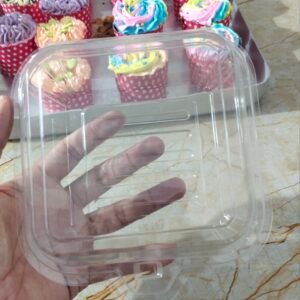 transparent bento box
